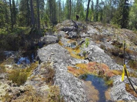 Novo Lítio to drill at Sweden's Spodumenberget project by year-end