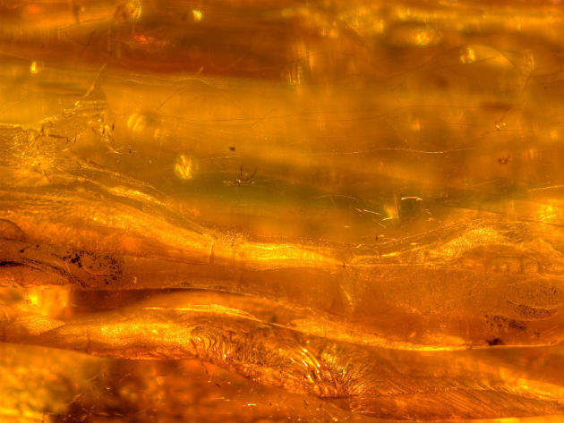 Amber: Mineral information, data and localities.