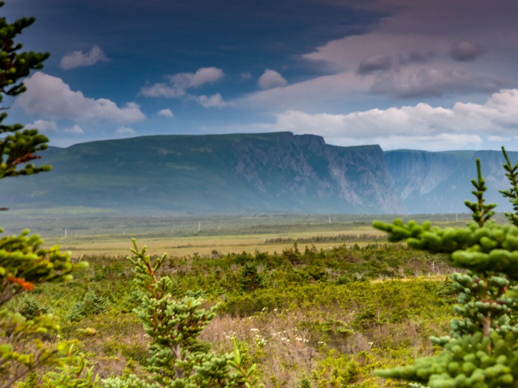 Newfoundland mining