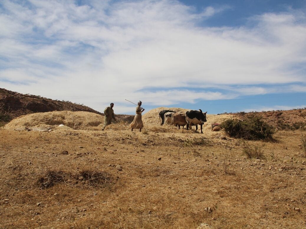 potash Eritrea