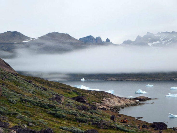 Why does Trump want to buy Greenland? A mineral perspective Mining