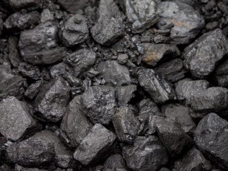 Anti-coal protesters shut down world’s largest coal port