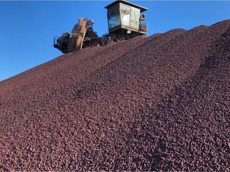 Vale resumes environmental licensing for Brazil iron ore project