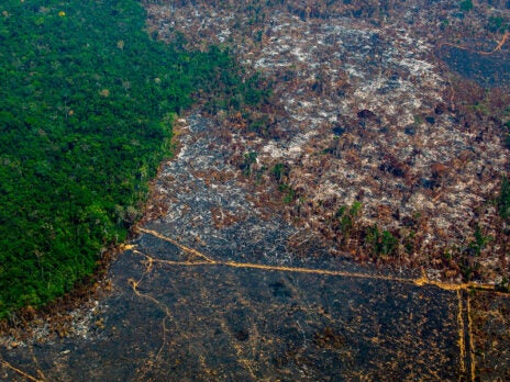 Illegal gold in the Brazilian Amazon