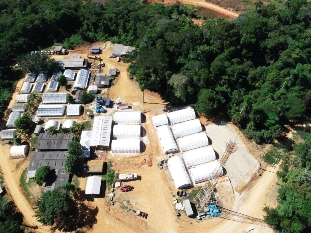 G Mining gold