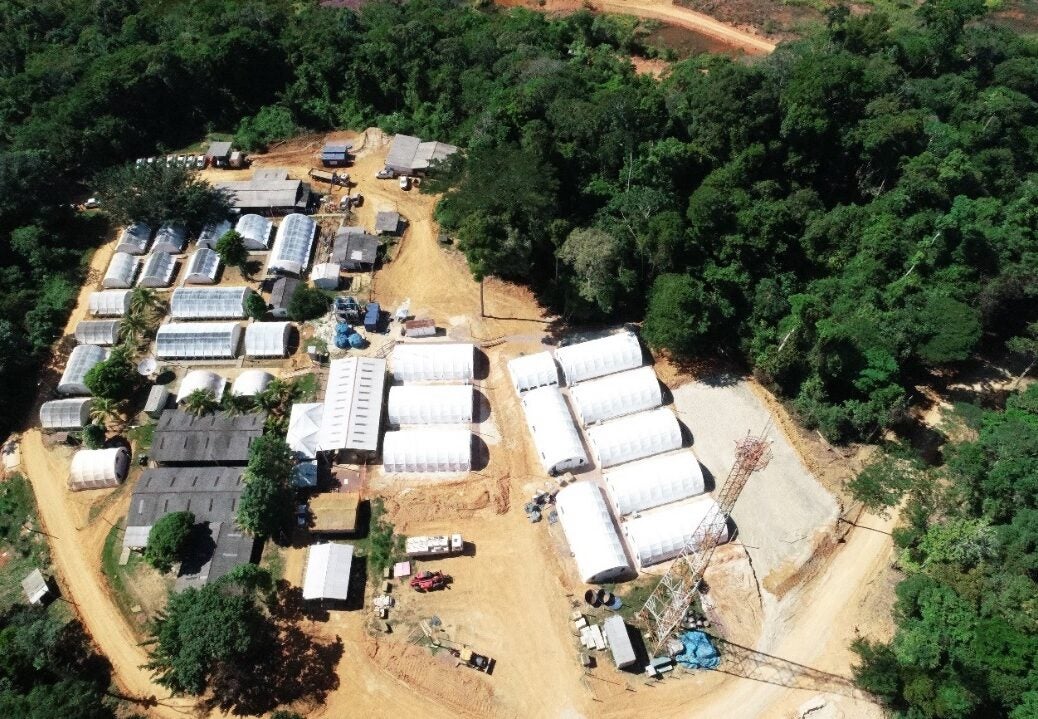 G Mining gold
