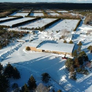 Goliath Gold Complex