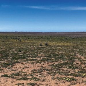 Siviour Graphite Project, South Australia