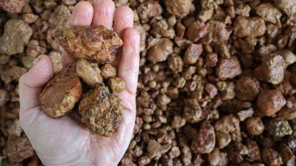 Bauxite exports surge 23% in Q3 despite challenges in Guinea 