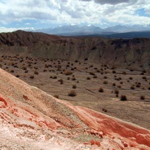 Jupiter Rare Earth Project