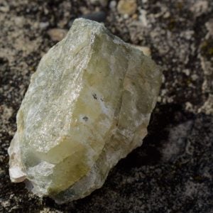 PLS spodumene supply Canmax