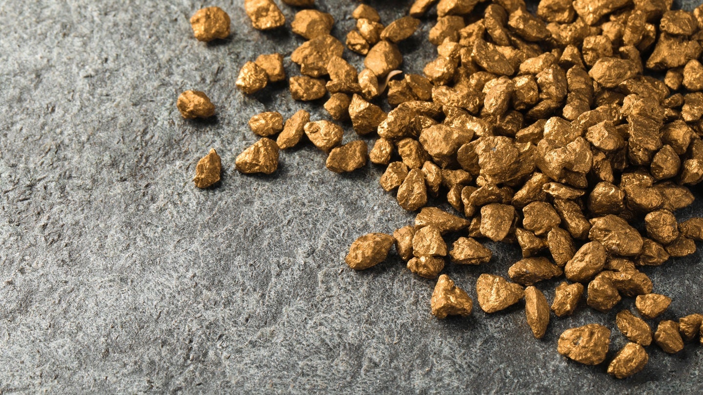 Barrick slows operations at Reko Diq in Pakistan