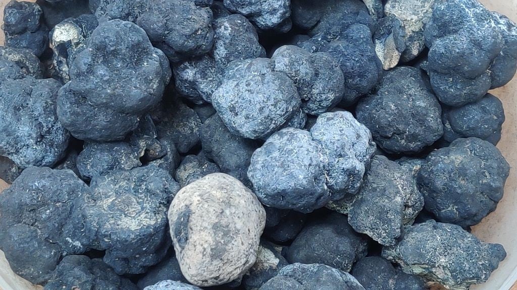 Polymetallic nodules, which the industry wants to obtain through deep-sea mining.