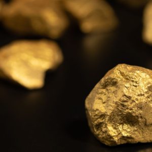 Regis Vault merger agreement