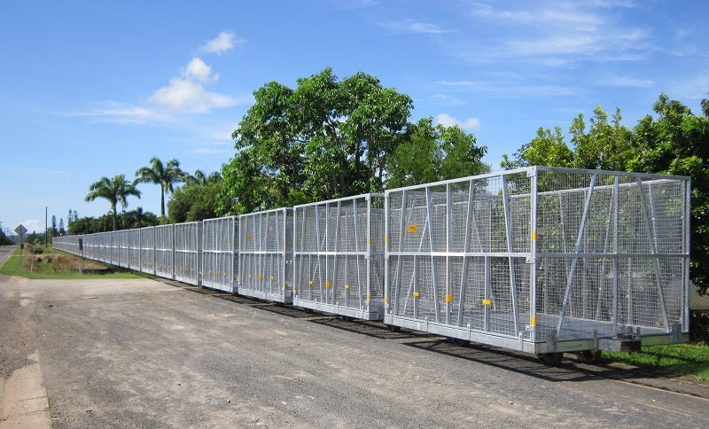 Cane bins