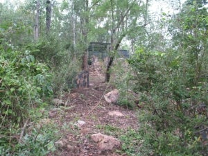 Top Gun Paintball's new Ruins field Top Gun Paintball's new Ruins field